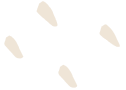 Background Shape